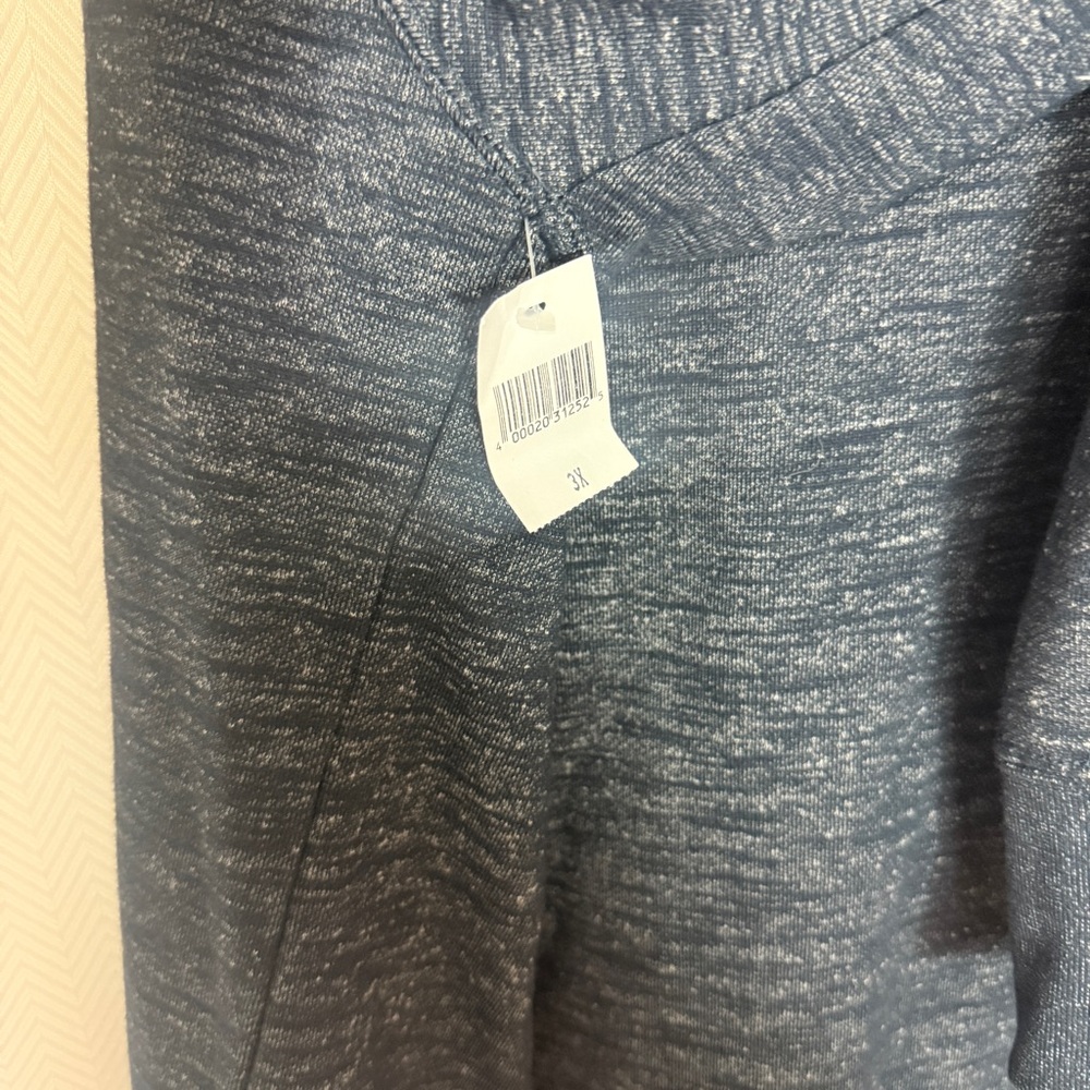 NWT Walt Disney World Full Zip Hoodie Size 3X - Picture 2 of 7